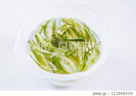 あく抜きするミョウガ 111949529