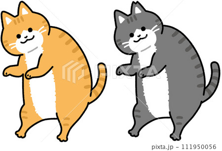 太っている猫 111950056