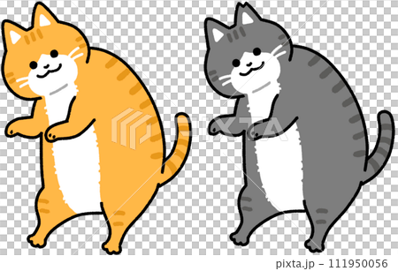 太っている猫 111950056