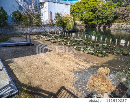 ウォーターズ竹芝に作られた人口の干潟【竹芝干潟】 ウォーターズ竹芝に作られた人口の干潟【竹芝干潟】 111950227