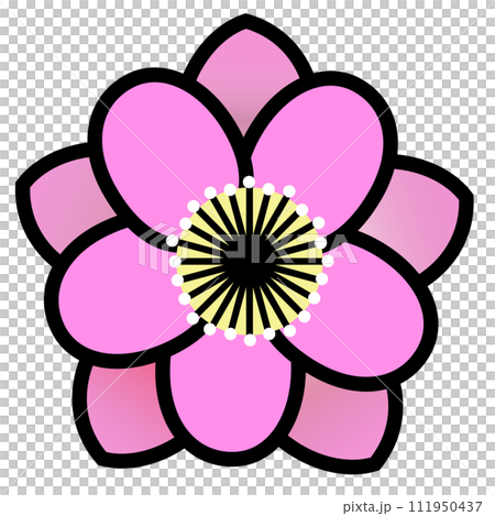 桃花雙花圖解 111950437
