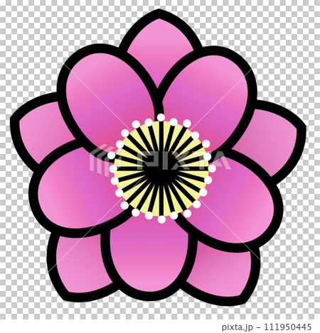 桃花雙花圖解 111950445