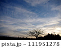 夕空 111951278