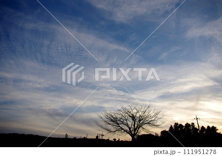 夕空 111951278