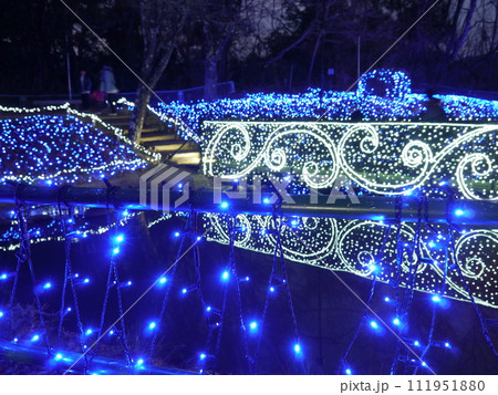 プレジャーフォレスト　イルミネーション 111951880