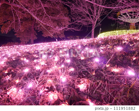 プレジャーフォレスト　イルミネーション 111951882