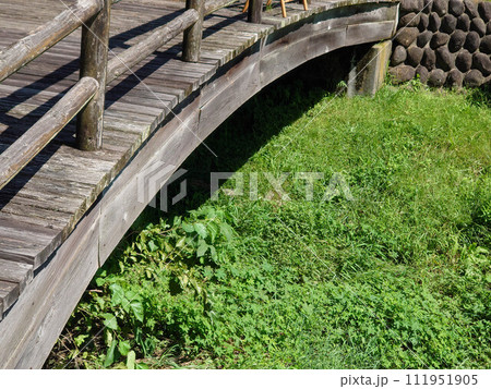 朽ちた木橋 朽ちた木橋 111951905