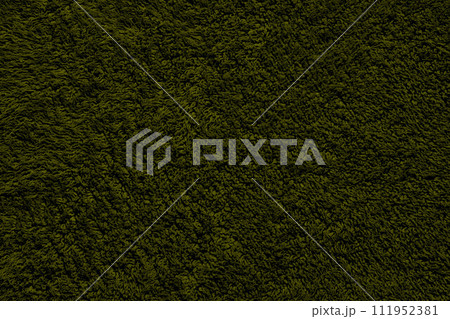 ファーのテクスチャ（グリーン） 111952381