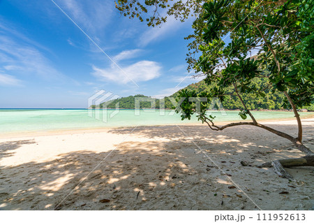 Tranquil Mai Ngam beach in beautiful day, Surin island national park, Phang Nga, Thailand, 111952613