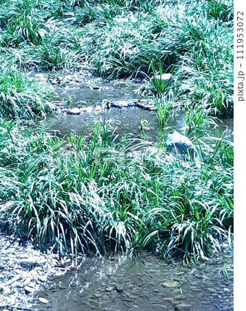 カラー 流れ 川 透明 透過 (2024年2月登録) カラー 流れ 川 透明 透過 (2024年2月登録) 111953072