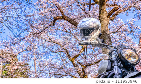 桜の木のトンネルのバイクツーリング　静岡県伊東市八幡野 111953946