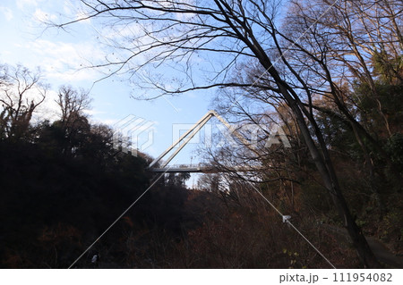 関東の耶馬渓　高津戸峡　冬の夕暮れ 111954082