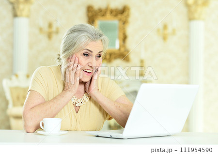 Portrait of senior woman sitting at table with laptop 111954590