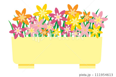 プランターに入った暖色系の花のイラスト プランターに入った暖色系の花のイラスト 111954613