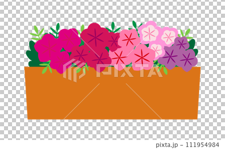 プランターに入ったピンクと紫のペチュニアのイラスト プランターに入ったピンクと紫のペチュニアのイラスト 111954984
