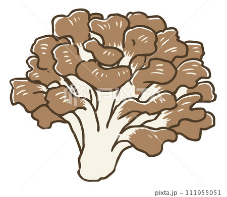 舞茸 舞茸 111955051