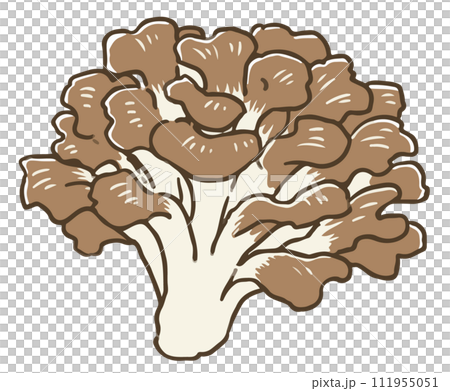 舞茸 舞茸 111955051