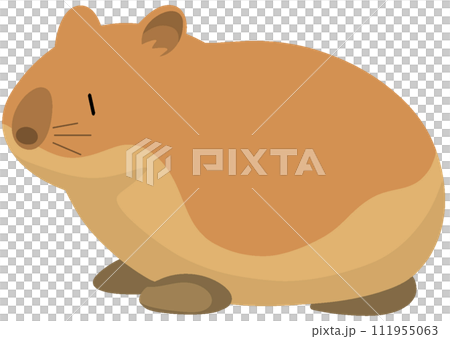 クチグロナキウサギ 111955063