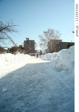 小樽　冬の手宮線跡地 111955560