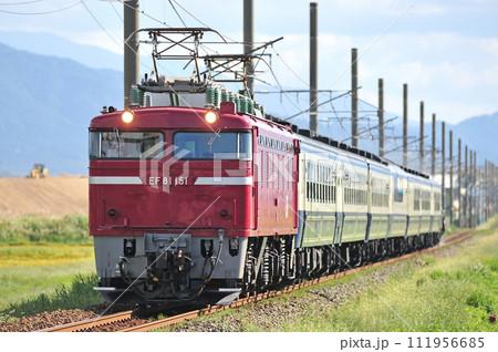 羽越本線　岩舟町ー村上　JR東日本　EF81-151＋12系（新津）＋C57-180　村上屏風まつり 111956685