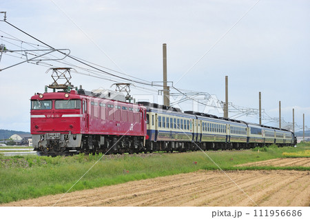 羽越本線　平林ー岩舟町　JR東日本　EF81-151＋12系（新津）＋C57-180　村上屏風まつり 111956686