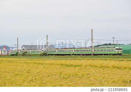 羽越本線 岩舟町ー平林 JR東日本 115系 L1+L27編成(新潟) 羽越本線 岩舟町ー平林 JR東日本 115系 L1+L27編成(新潟) 111956691