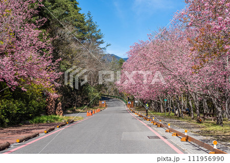 カジュアル 無造作 無頓着 111956990