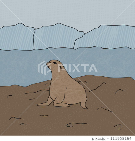 Hand drawn vector fur seal illustration. Cartoon outline animal of Antarctica on the beach near icebergs with textures Hand drawn vector fur seal illustration. Cartoon outline animal of Antarctica on the beach near icebergs with textures 111958164