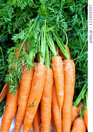 Carrots 111958307
