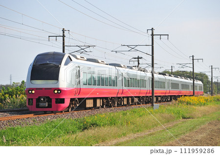 常磐線　羽鳥ー岩間　JR東日本　E653系　K305編成（勝田）　フレッシュひたち 111959286