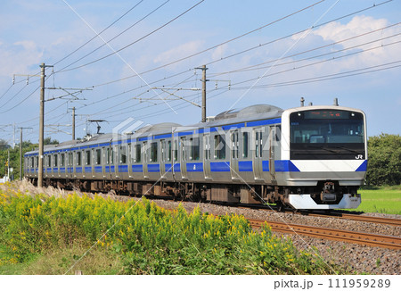 常磐線　岩間ー羽鳥　JR東日本　E531系　K458編成（勝田） 111959289