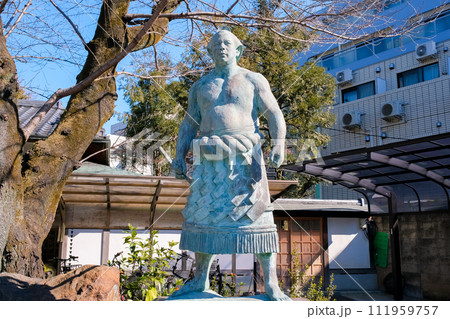 東京都台東区 玉林寺、千代の富士像 111959757