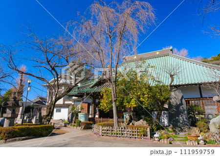 東京都台東区 玉林寺 東京都台東区 玉林寺 111959759