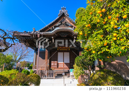 東京都台東区 上聖寺 東京都台東区 上聖寺 111960238