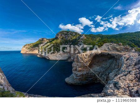 Breathtaking Coastal Cliffs and Lush Forests Under Blue Skies 111960308