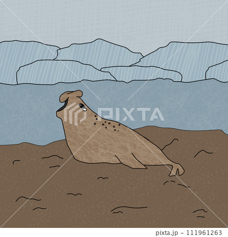 Elephant seal. Hand drawn vector cartoon animal on the beach near icebergs in Antarctica. Polar textured cute childish illustration 111961263