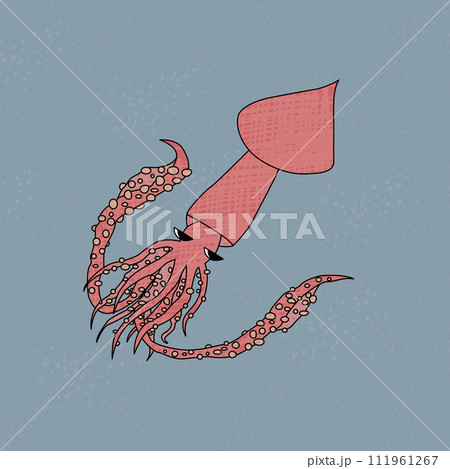 Colossal squid in the ocean. Vector cartoon hand drawn illustration of the animal in Antarctica. Polar mysterious squid with tentacles and texture undersea. Underwater life illustration Colossal squid in the ocean. Vector cartoon hand drawn illustration of the animal in Antarctica. Polar mysterious squid with tentacles and texture undersea. Underwater life illustration 111961267