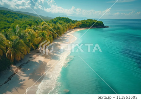 Aerial view of tropical green palm trees forest by the ocean beach in sunlight Aerial view of tropical green palm trees forest by the ocean beach in sunlight 111961605