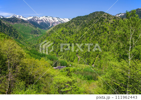 上高地乗鞍スーパー林道より望む残雪の乗鞍岳と新緑の白骨温泉 上高地乗鞍スーパー林道より望む残雪の乗鞍岳と新緑の白骨温泉 111962443