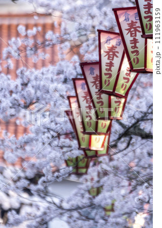 桜満開の打吹公園（倉吉市） 111963159