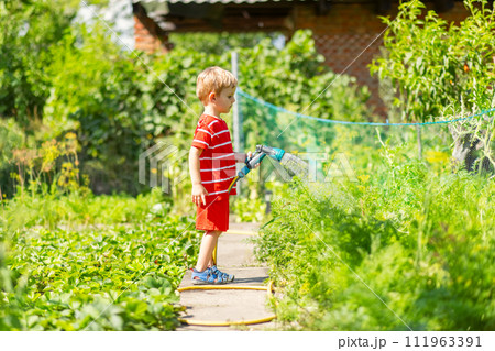 Child watering flowers and plants in garden. Little boy gardening 111963391