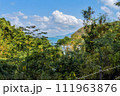 海の見える丘 111963876