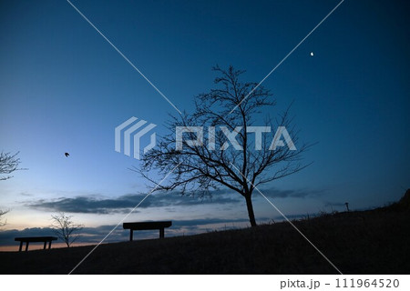夜明け前の抽象的背景素材 夜明け前の抽象的背景素材 111964520