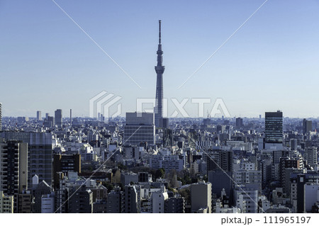 文京シビックセンターから見たスカイツリー方面の風景 文京シビックセンターから見たスカイツリー方面の風景 111965197