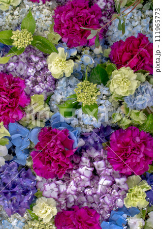 紫陽花の花手水 紫陽花の花手水 111965773