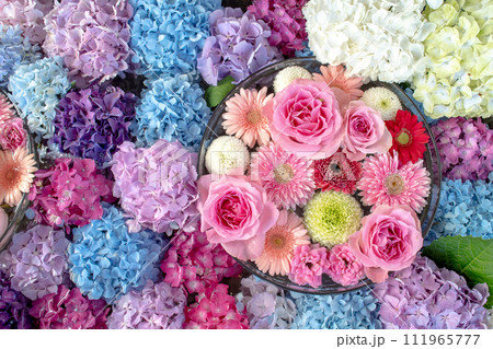 紫陽花と薔薇の花手水 紫陽花と薔薇の花手水 111965777