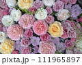 薔薇の花手水 111965897