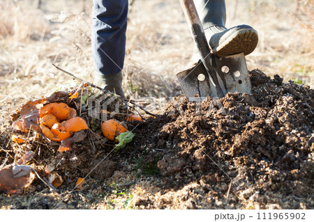 生ゴミで堆肥を作る男性 111965902