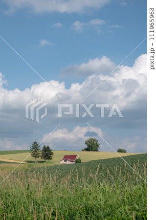 赤い屋根の家 111965968