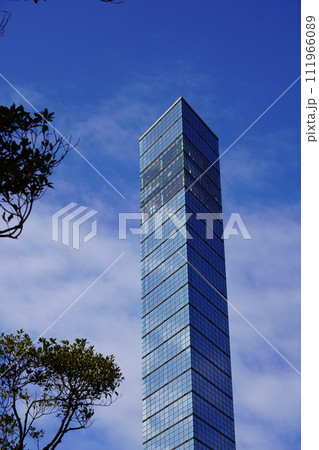 千葉ポートタワー 昼景 千葉ポートタワー 昼景 111966089